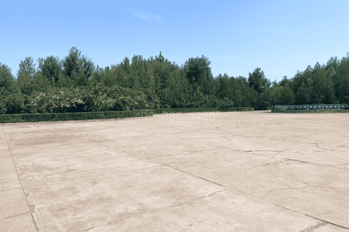 中华永久陵园环境图